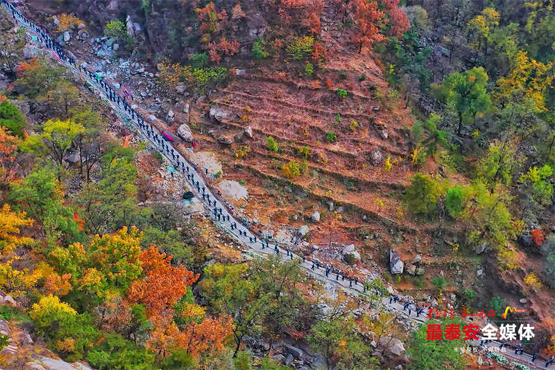 200余名电力“挑山工”肩扛手拽运送电缆上山插图10