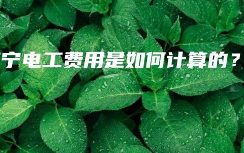 南宁电工费用是如何计算的？