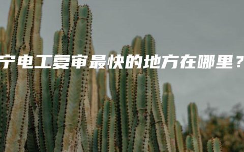 南宁电工复审最快的地方在哪里？