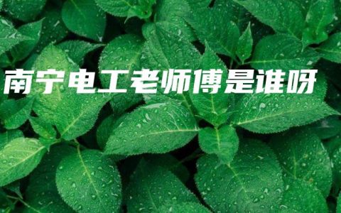 南宁电工老师傅是谁呀