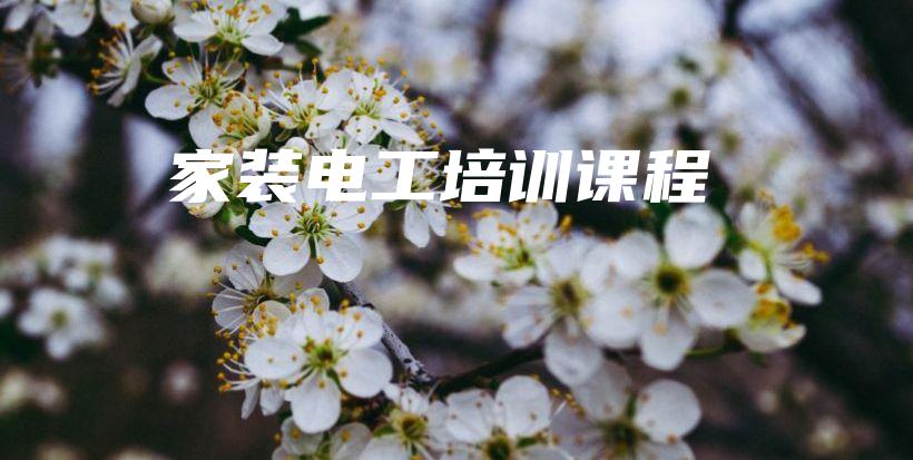 家装电工培训课程插图