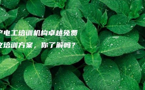 南宁电工培训机构卓越免费中文培训方案，你了解吗？