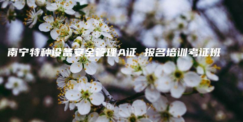 南宁特种设备安全管理A证 报名培训考证班插图