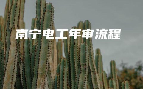 南宁电工年审流程