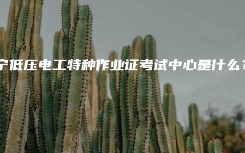 南宁低压电工特种作业证考试中心是什么？