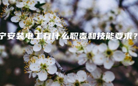 南宁安装电工有什么职责和技能要求?缩略图 南宁安装电工有什么职责和技能要求?