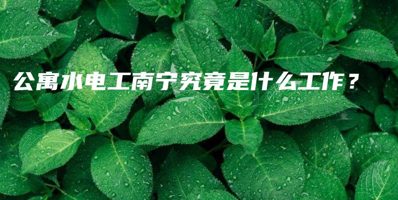 公寓水电工南宁究竟是什么工作？插图