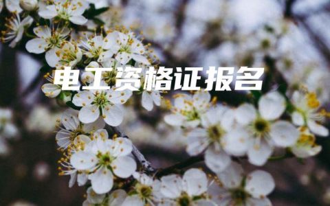 电工资格证报名