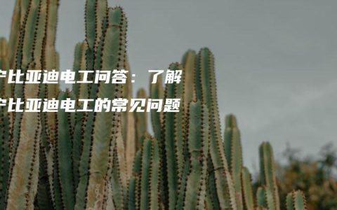 南宁比亚迪电工问答：了解南宁比亚迪电工的常见问题