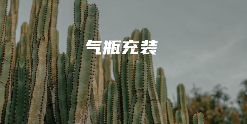 气瓶充装（培训考证班）插图3