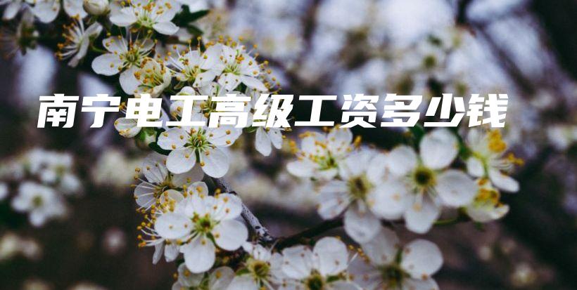 南宁电工高级工资多少钱插图