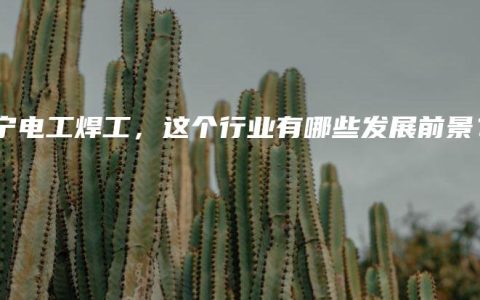 南宁电工焊工，这个行业有哪些发展前景？