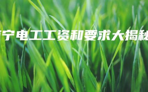 南宁电工工资和要求大揭秘