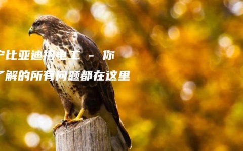 南宁比亚迪招电工 – 你想了解的所有问题都在这里！