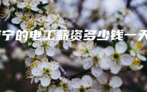 南宁的电工薪资多少钱一天