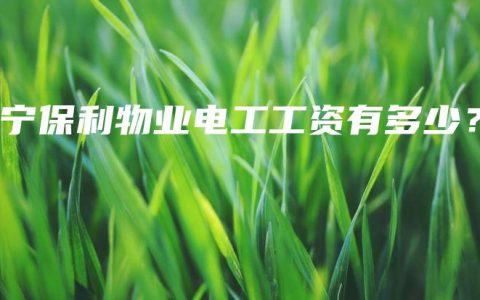 南宁保利物业电工工资有多少？