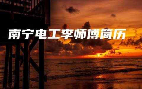 南宁电工李师傅简历