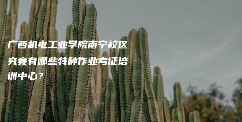 广西机电工业学院南宁校区究竟有哪些特种作业考证培训中心？插图