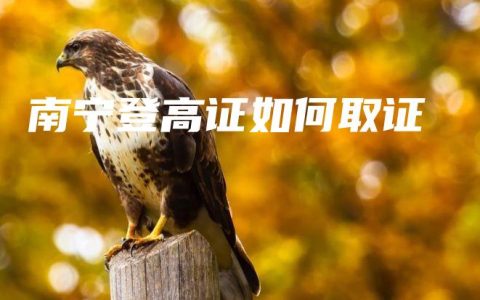 南宁登高证如何取证