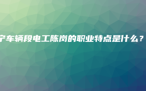南宁车辆段电工陈岗的职业特点是什么？