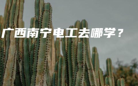 广西南宁电工去哪学？