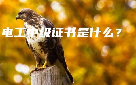 电工中级证书是什么？