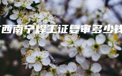 广西南宁焊工证复审多少钱