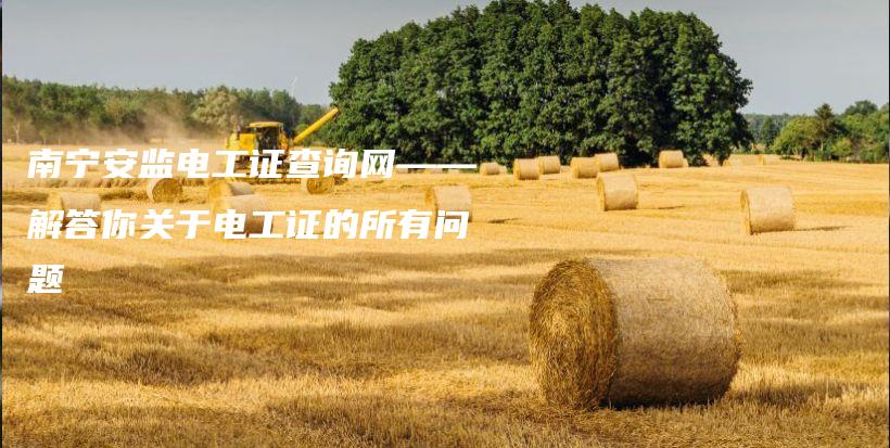 南宁安监电工证查询网——解答你关于电工证的所有问题插图