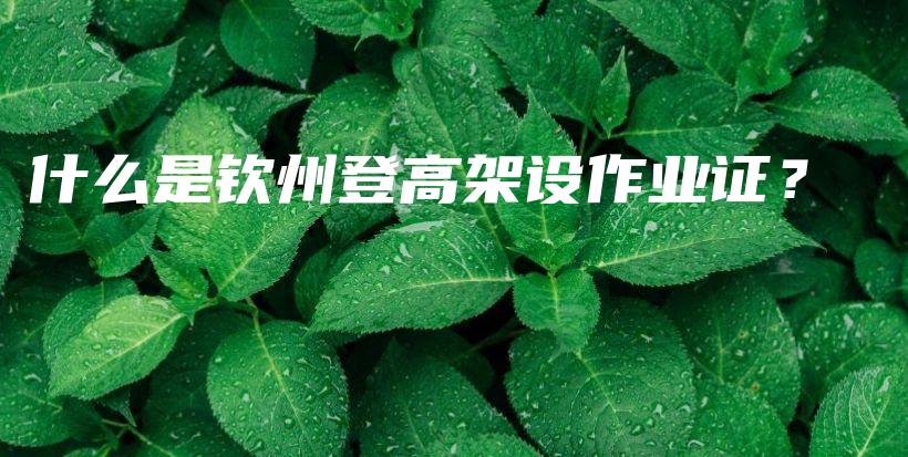 什么是钦州登高架设作业证？插图