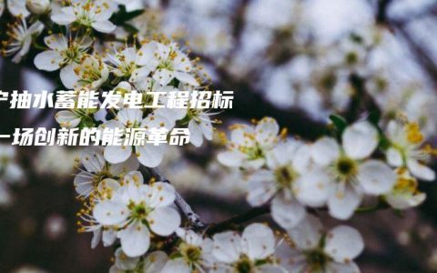 南宁抽水蓄能发电工程招标：一场创新的能源革命