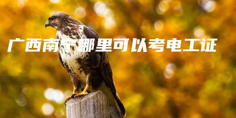 广西南宁哪里可以考电工证插图
