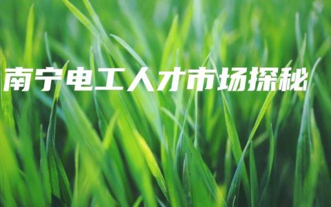 南宁电工人才市场探秘