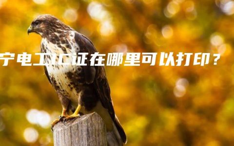 南宁电工IC证在哪里可以打印?缩略图 南宁电工IC证在哪里可以打印?