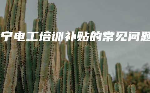 南宁电工培训补贴的常见问题