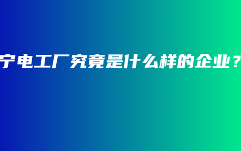 南宁电工厂究竟是什么样的企业？