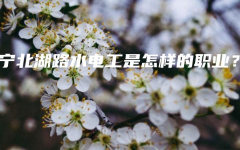 南宁北湖路水电工是怎样的职业？