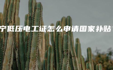 南宁低压电工证怎么申请国家补贴？