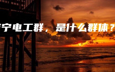 南宁电工群，是什么群体？