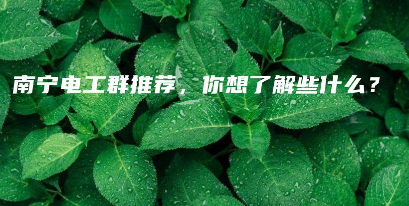 南宁电工群推荐，你想了解些什么？插图