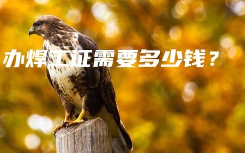 办焊工证需要多少钱？
