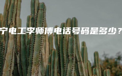 南宁电工李师傅电话号码是多少？