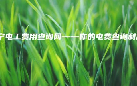 南宁电工费用查询网——你的电费查询利器