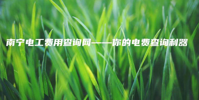南宁电工费用查询网——你的电费查询利器插图