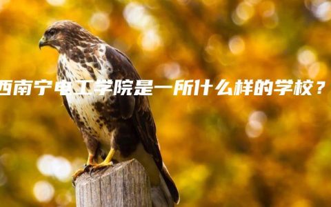 广西南宁电工学院是一所什么样的学校？