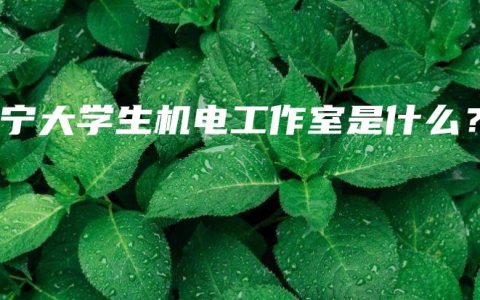 南宁大学生机电工作室是什么？