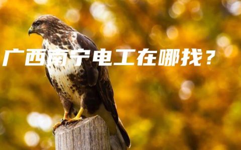 广西南宁电工在哪找？
