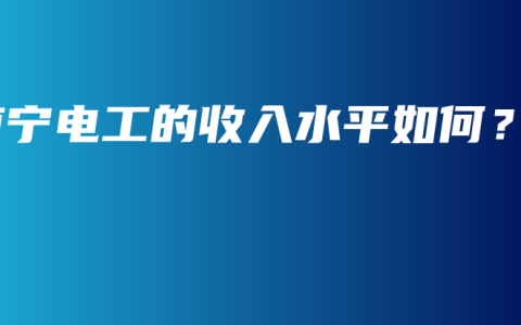 南宁电工的收入水平如何？