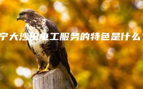 南宁大沙田电工服务的特色是什么？