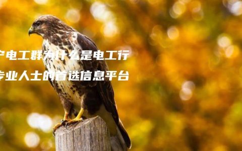 南宁电工群为什么是电工行业专业人士的首选信息平台？