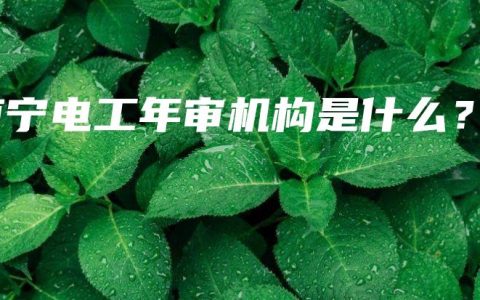 南宁电工年审机构是什么？